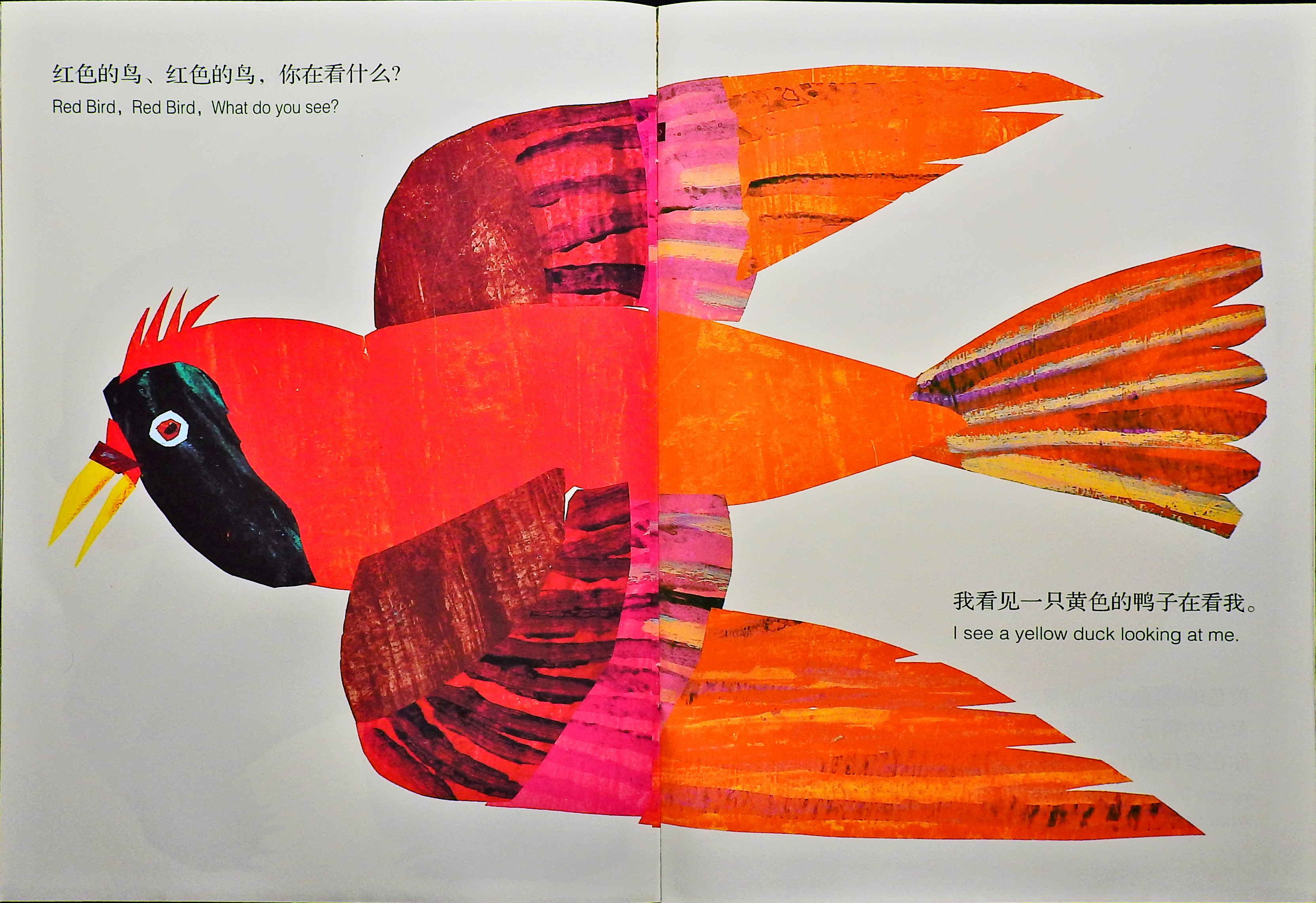 棕色的熊、棕色的熊，你在看什么？ (06),绘本,绘本故事,绘本阅读,故事书,童书,图画书,课外阅读